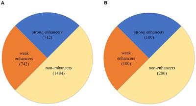 iEnhancer-EBLSTM: Identifying Enhancers and Strengths by Ensembles of Bidirectional Long Short-Term Memory